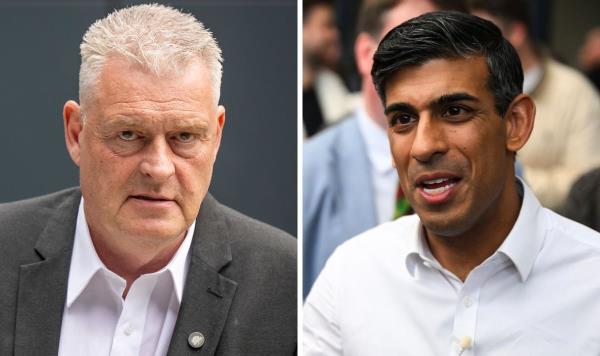 里希·苏纳克支持李·安德森“滚回法国移民驳船”