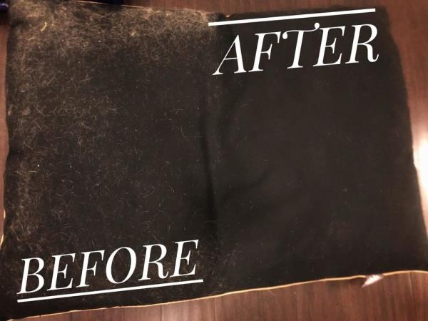 全渠道了解“金花房卡怎么弄”获取房卡方式