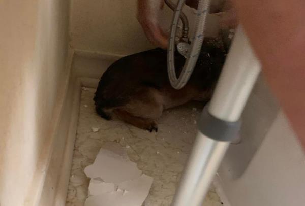 一分钟了解“微信链接牛牛房间房卡”详细房卡教程