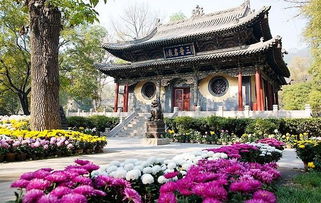 世界杯结束后，特朗普敲醒了美国女足