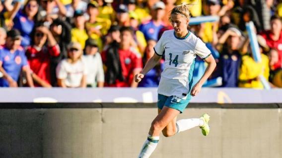 阿达尼企业从非传染性疾病融资125亿卢比后下跌 阿达尼企业从非传染性疾病融资125亿卢比后下跌