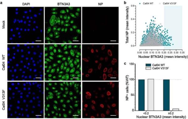 房卡一分钟了解“微信炸 金花房卡
链接”详细房卡教程