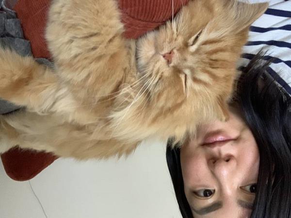 秒懂教程“炸金花购买房卡”获取房卡方式 秒懂教程“炸金花购买房卡”获取房卡方式