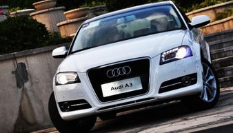 可用版本“经典罗松软件透视!详细分享装挂步骤