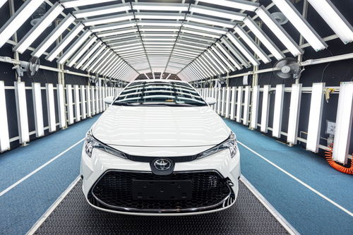 秒懂”金花链接房卡到哪里买-(详细分享开挂教程)