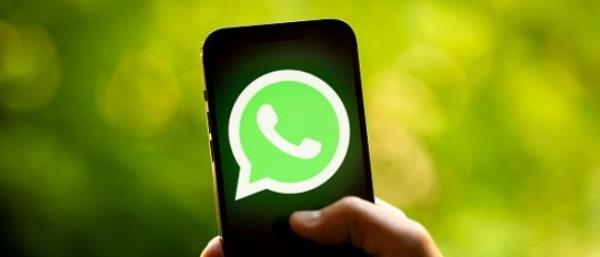 女子通过举报男友未缴税款来报复他的出轨行为