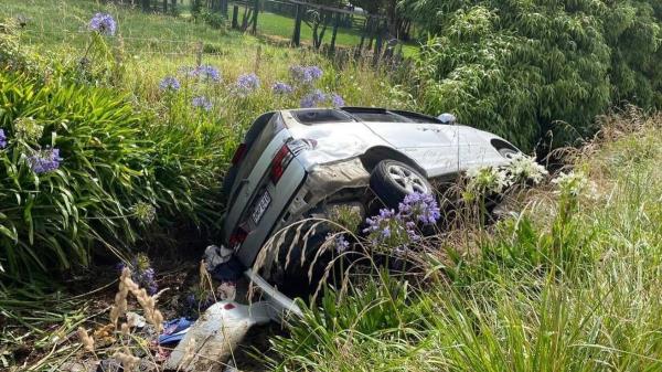 推荐一款”小南娱乐怎么开挂”(曝光透视必备猫腻)