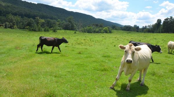 玩家必看教程“超级三加一开挂辅助透视软件!详细分享装挂步骤 玩家必看教程“超级三加一开挂辅助透视软件!详细分享装挂步骤