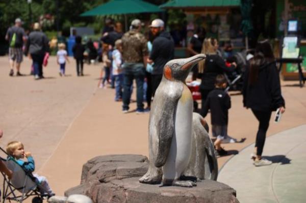 可用版本“小宝跑得快开挂!分享用挂教程 可用版本“小宝跑得快开挂!分享用挂教程