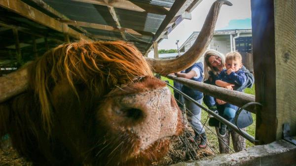 秒懂”人海大厅牛牛房卡-详细介绍房卡使用方式
