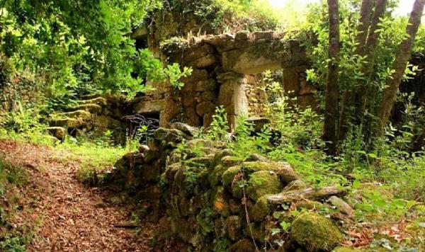 秒懂教程“炸金花链接房卡哪里买”详细步骤