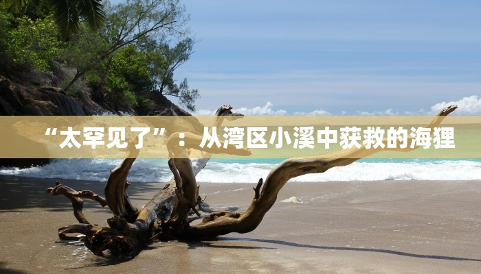 一分钟分享新道游炸金花挂-获取房卡教程