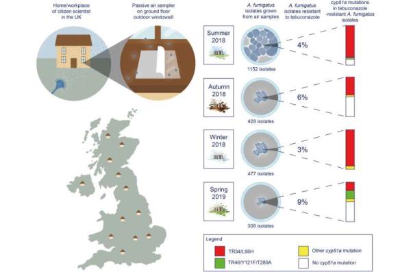 玩家必看教程“欢聚水鱼辅助软件”(曝光透视必备猫腻) 玩家必看教程“欢聚水鱼辅助软件”(曝光透视必备猫腻)