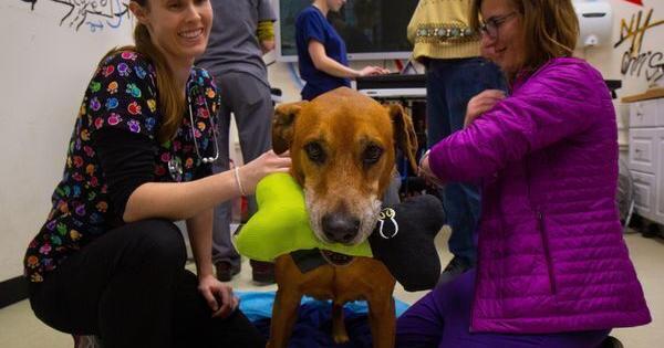 卫冕冠军拉罗谢尔在莱斯特城大败的情况下开始了杯赛