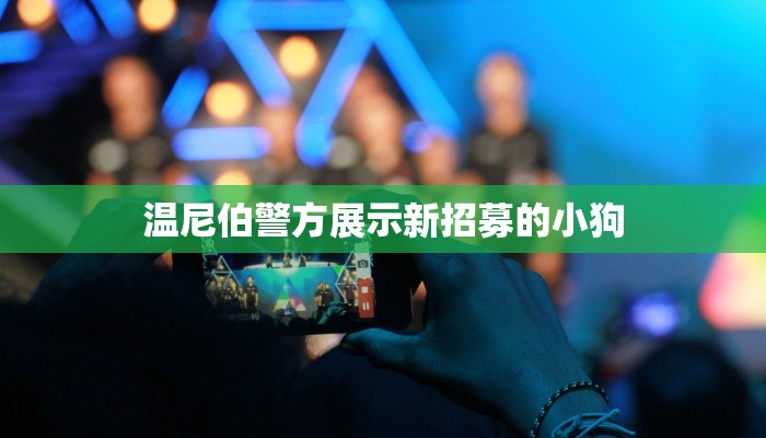 全渠道了解“飞鹰大厅房卡”详细房卡教程