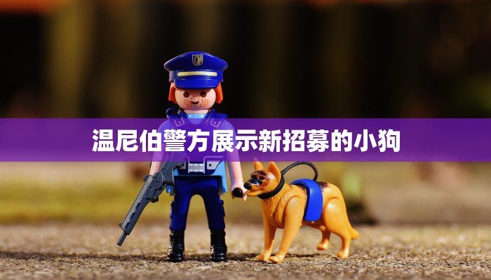 万能开挂辅助“新九天大厅透视挂”其实确实有挂