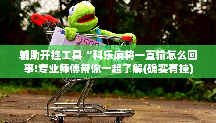 辅助神器“衢州都莱挂多少钱!详细分享装挂步骤 辅助神器“衢州都莱挂多少钱!详细分享装挂步骤