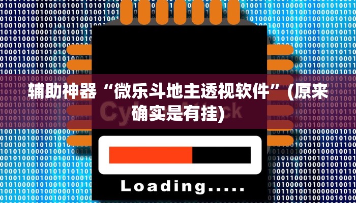 辅助神器“微乐斗地主透视软件”(原来确实是有挂)