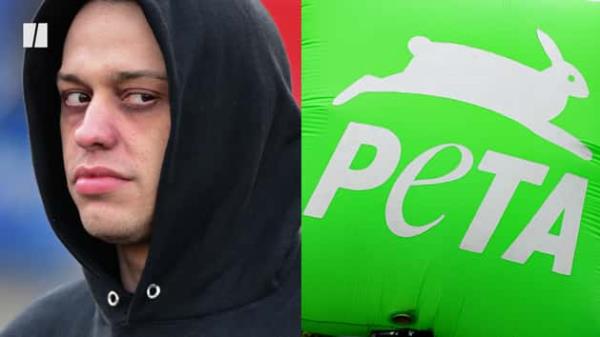 一分钟介绍新海贝大厅在哪买房卡-购买房卡介绍