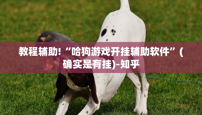 玩家新攻略AAPoker透视挂安全吗安全的啊！（其实有挂)教程分享