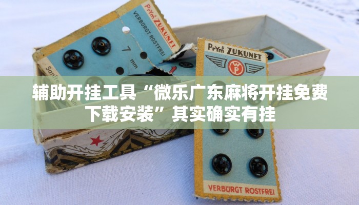 科普知识“手机字牌可以开挂吗!专业师傅带你一起了解(确实有挂)