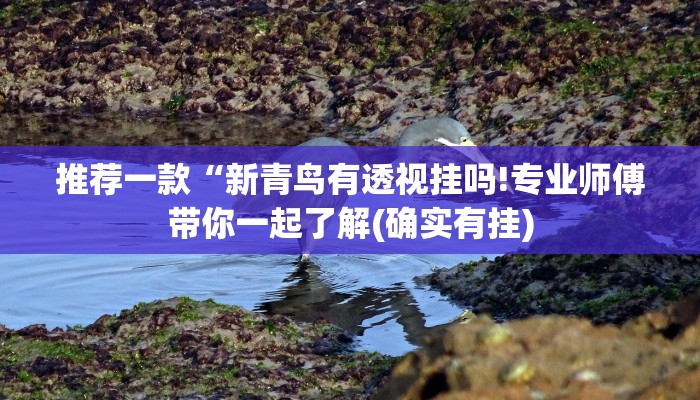 一分钟普及“卡贝大厅拼三张房卡-链接如何购买