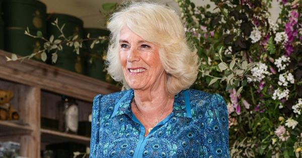 实测辅助“杭州都莱有挂吗!详细分享装挂步骤 实测辅助“杭州都莱有挂吗!详细分享装挂步骤