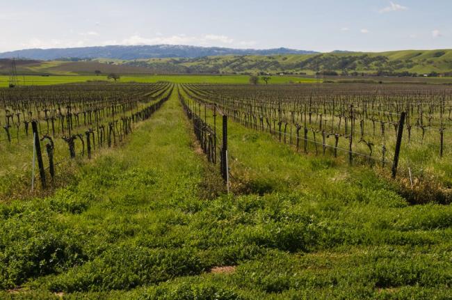 一分钟介绍“微信牛牛链接”房卡详细使用教程 一分钟介绍“微信牛牛链接”房卡详细使用教程