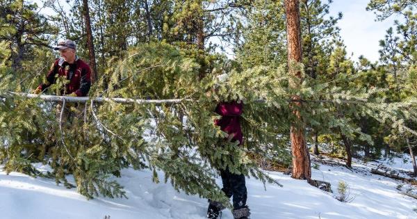 三分钟解答“可以自建房间的金花房卡”详细步骤