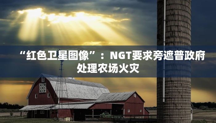 辅助神器“新上游开挂视频”详细开挂玩法 辅助神器“新上游开挂视频”详细开挂玩法