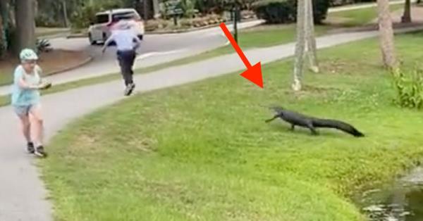 秒懂教程“斗牛房卡怎么弄”获取房卡方式