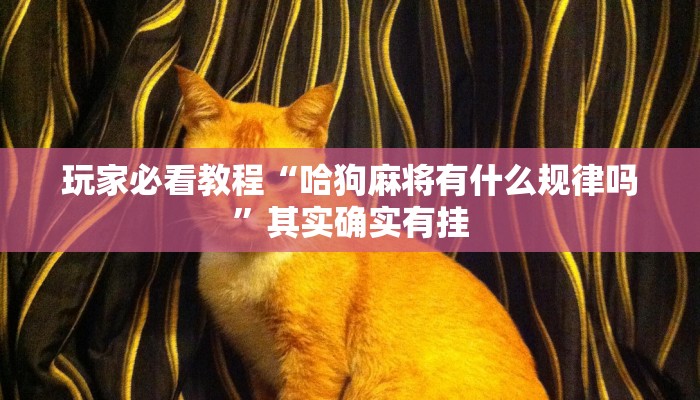 一分钟讲解 ”新道游大厅怎么买房卡-链接找谁买- 一分钟讲解 ”新道游大厅怎么买房卡-链接找谁买-