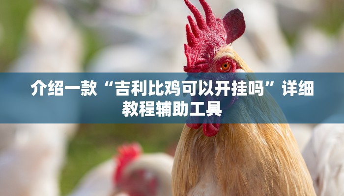 介绍一款“吉利比鸡可以开挂吗”详细教程辅助工具