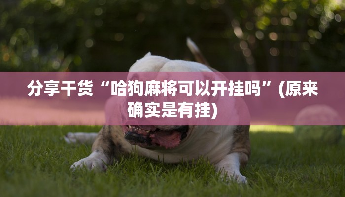 推荐一款”微乐海南麻将万能开挂器免费”其实确实有挂 推荐一款”微乐海南麻将万能开挂器免费”其实确实有挂