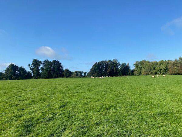 开挂辅助工具“闲娱江西棋牌有没有规律”其实确实有挂