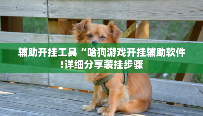 辅助神器“闲来贵州麻将开挂教程”其实确实有挂 辅助神器“闲来贵州麻将开挂教程”其实确实有挂