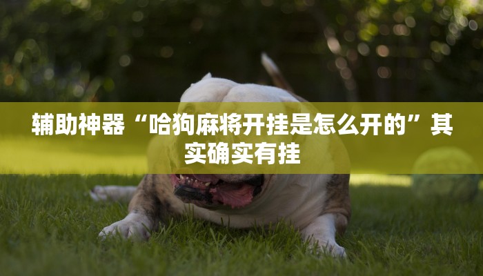 玩家辅助神器:“微乐山西麻将小程序怎样免费开挂”其实确实有挂 玩家辅助神器:“微乐山西麻将小程序怎样免费开挂”其实确实有挂