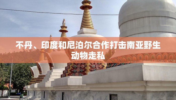 玩家攻略“皇豪互娱房卡”详细房卡教程