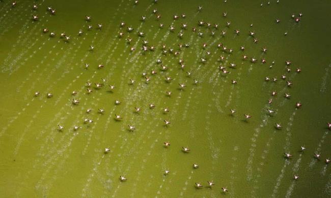 今日分享!正版金花房卡-详细房卡怎么购买教程 今日分享!正版金花房卡-详细房卡怎么购买教程