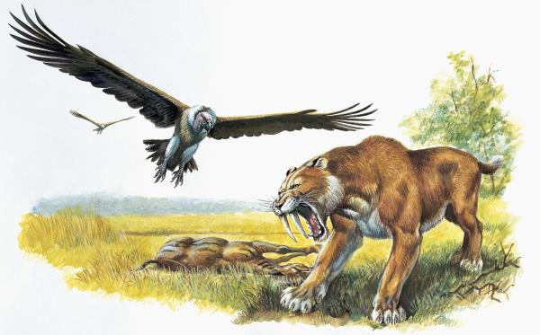 玩家攻略推荐文章“微信群链接房卡如何购买充值”购买房卡介绍