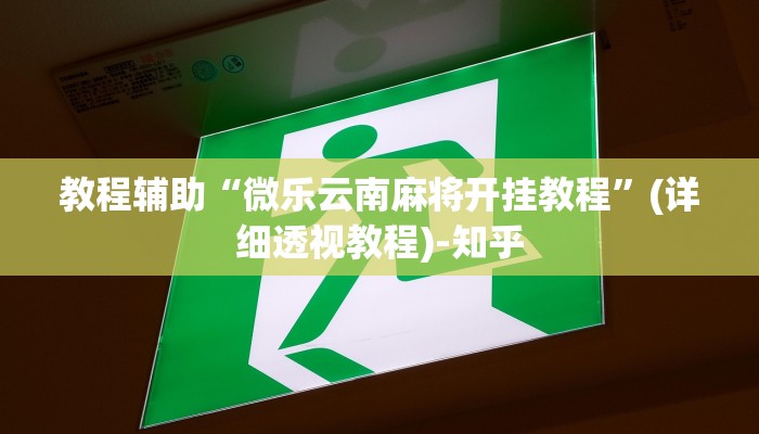 万能开挂辅助“大宝苏北麻将有挂吗”(原来确实是有挂)