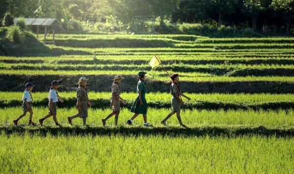 全渠道了解“新八戒房卡怎么搞”详细房卡教程