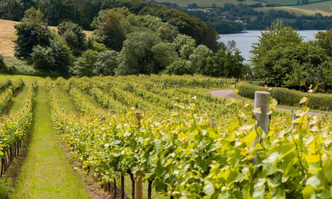 一分钟介绍使用“微信斗牛平台链接房卡-(详细分享开挂教程)