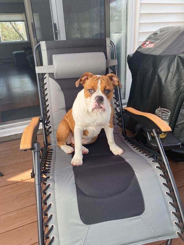 房卡一分钟“微信茄子链接大厅房卡
”房卡详细使用教程 房卡一分钟“微信茄子链接大厅房卡
”房卡详细使用教程