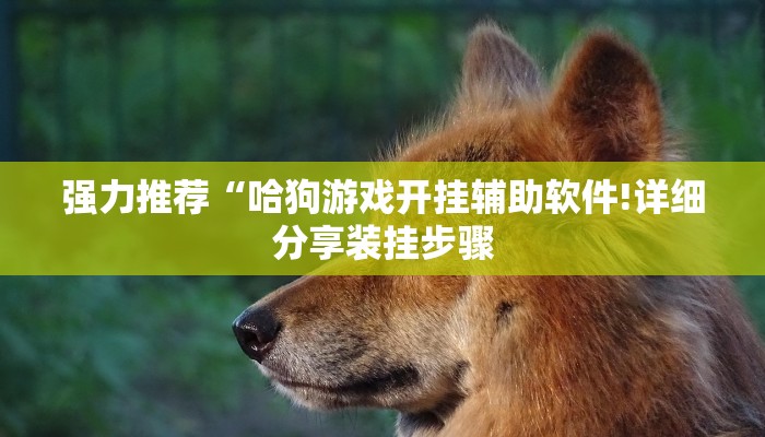 玩家知识“wepoker开挂辅助软件”详细开挂教程