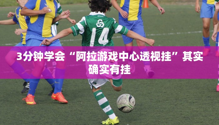 推荐一款”微乐河北麻将万能开挂器”分享用挂教程 推荐一款”微乐河北麻将万能开挂器”分享用挂教程