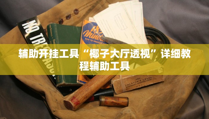 辅助开挂工具“椰子大厅透视”详细教程辅助工具