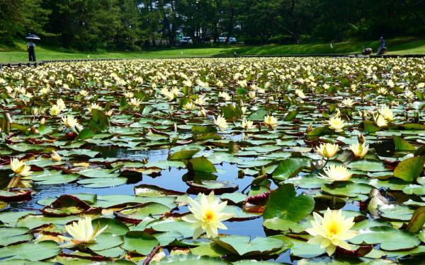 房卡一分钟“微信链接炸金花房卡”详细房卡教程