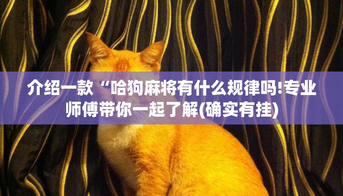 介绍一款“哈狗麻将有什么规律吗!专业师傅带你一起了解(确实有挂)