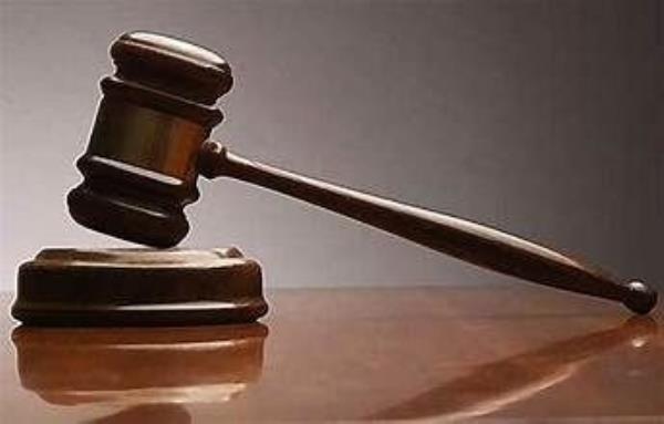 一位老人试图撤销对流浪狗斗殴的指控